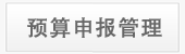 预算申报系统